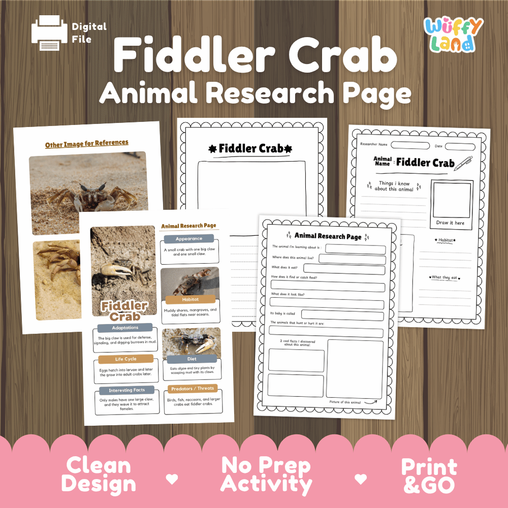 Fiddler Crab Animal Research Page and Worksheets