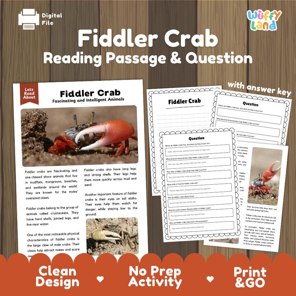 Fiddler Crab Reading Passage and Questions Worksheets with Answer Key