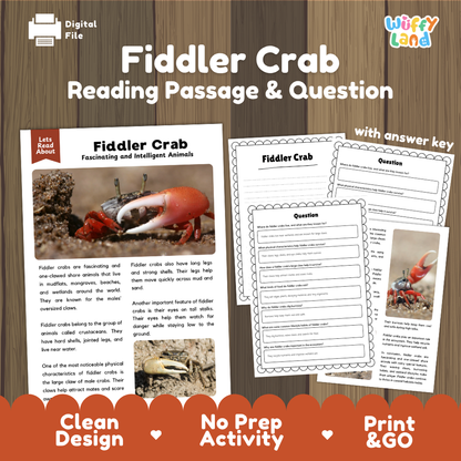 Fiddler Crab Reading Passage and Questions Worksheets with Answer Key