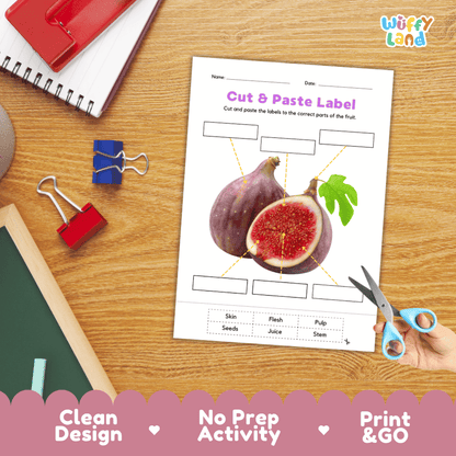 Printable plant biology worksheet showing sliced and whole fresh figs with blank labeling boxes and a vocabulary word bank for writing practice