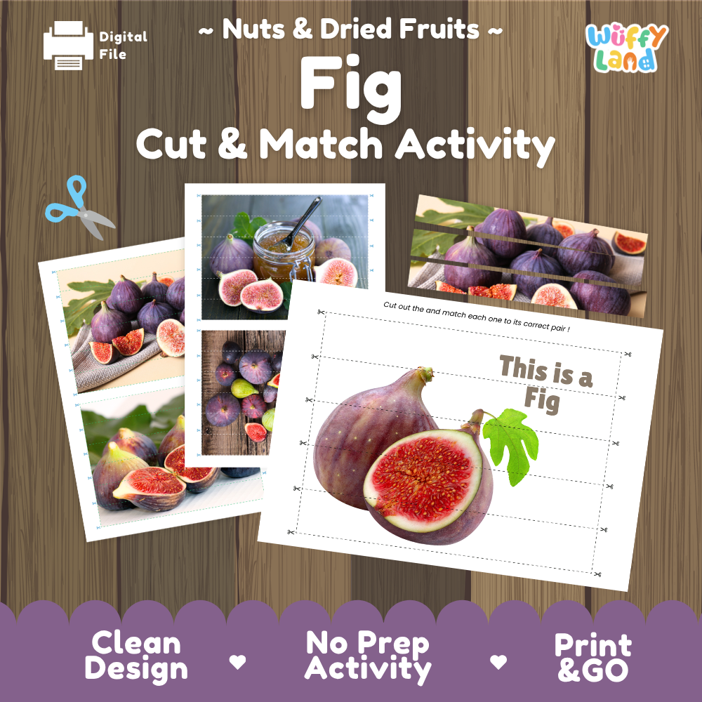 Fig cut and match activity cover showing printable fine motor puzzle sheets and fruit photographs