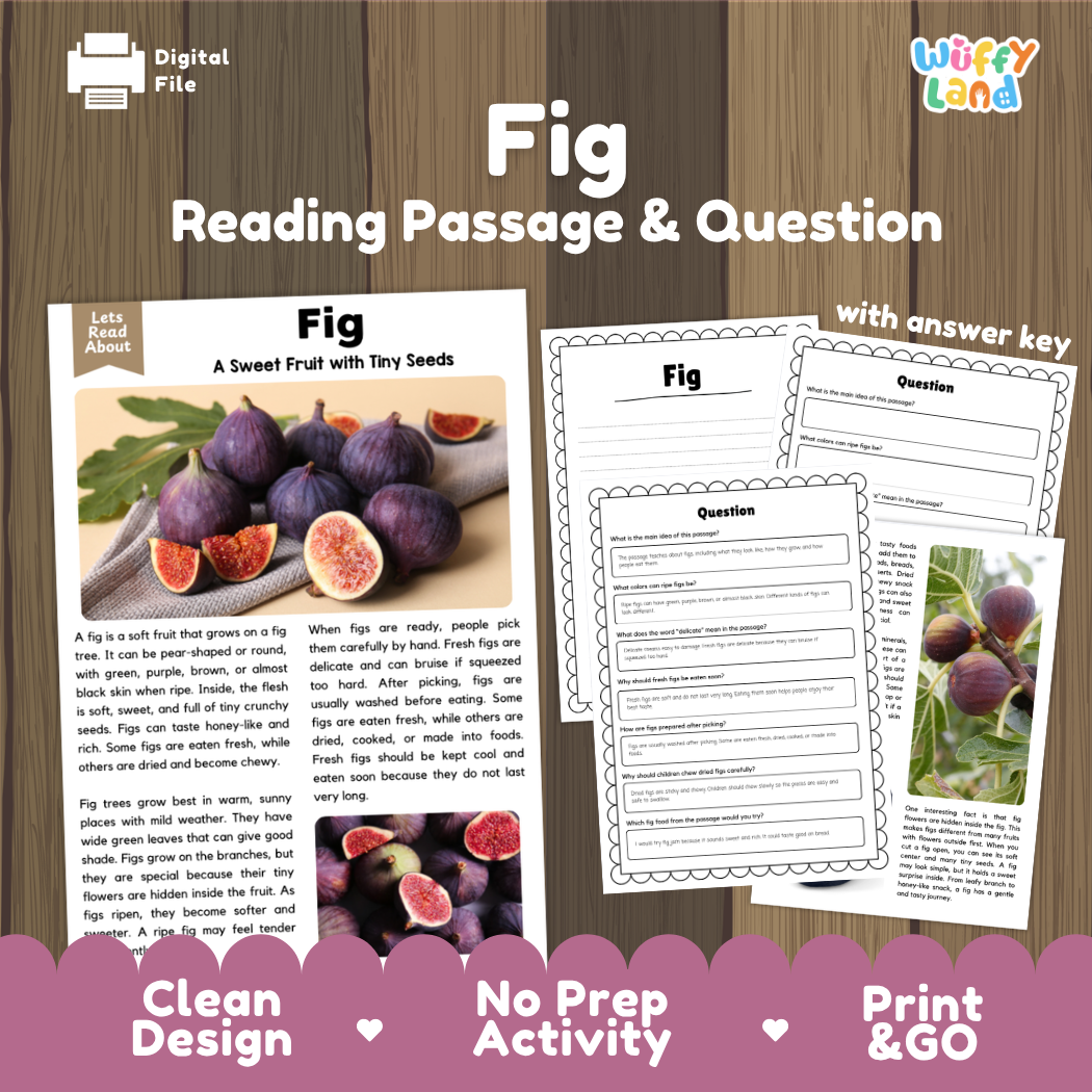 Fig reading comprehension passage and questions printable activity pack with answer key for elementary students
