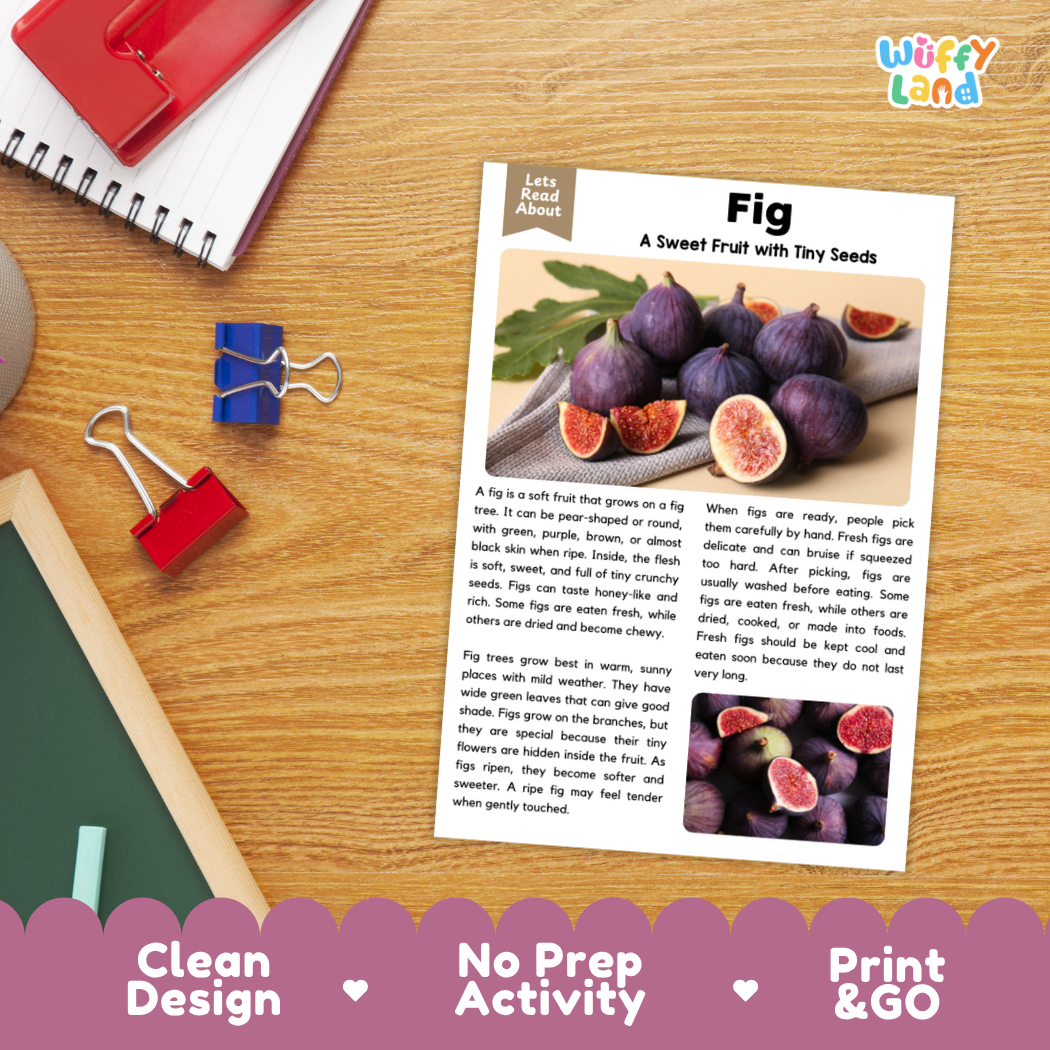 Student reading comprehension worksheet with short-answer questions and lined sections about the fig fruit