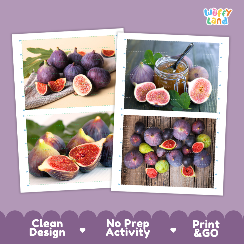 Printable activity sheets featuring photographic fig puzzle boards and cutting guides