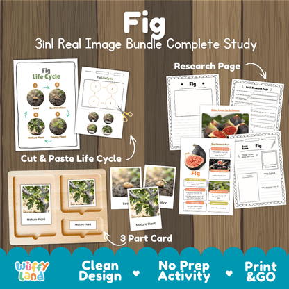 Fig tree life cycle 3in1 real image bundle complete study overview featuring cut and paste worksheets, Montessori 3-part cards, and research pages from Wuffy Land 🌿🌱