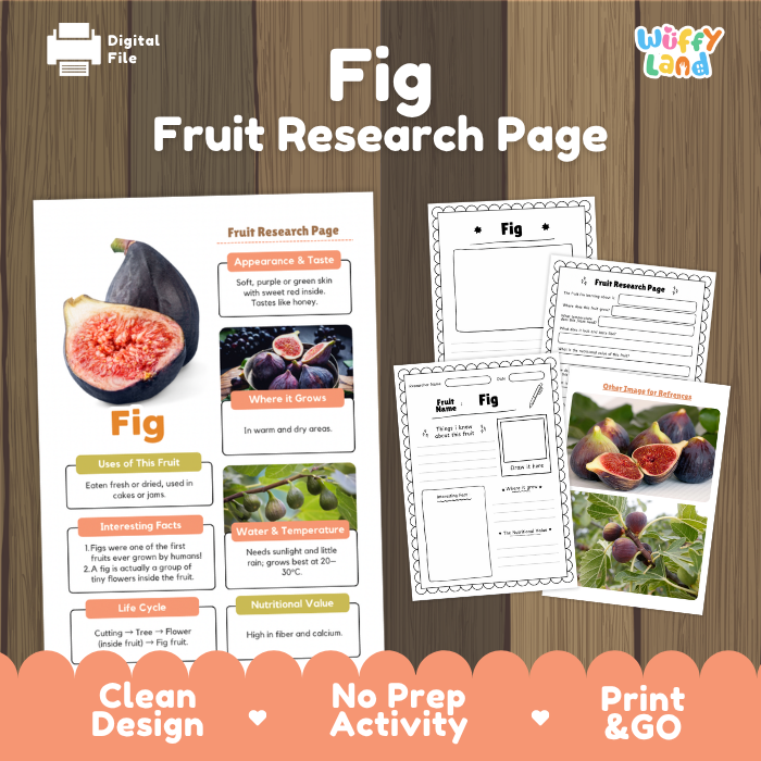 Fig Fruit Research Page Worksheets and Fact Sheet