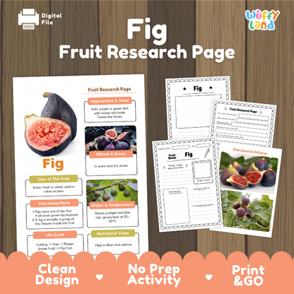 Fig Fruit Research Page Worksheets and Fact Sheet