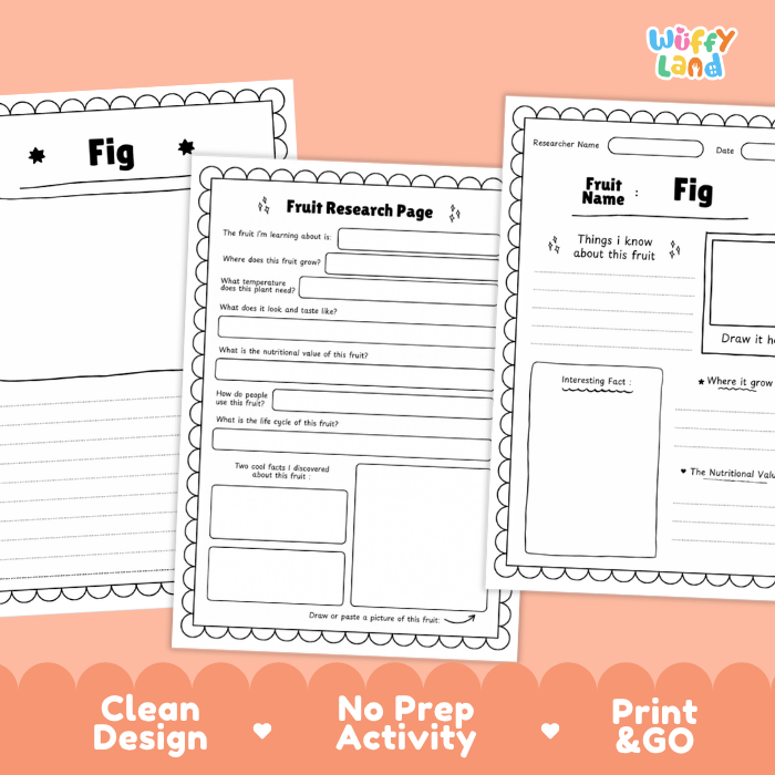 Fig Fruit Research Page Worksheets and Fact Sheet