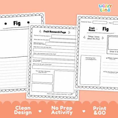 Fig Fruit Research Page Worksheets and Fact Sheet
