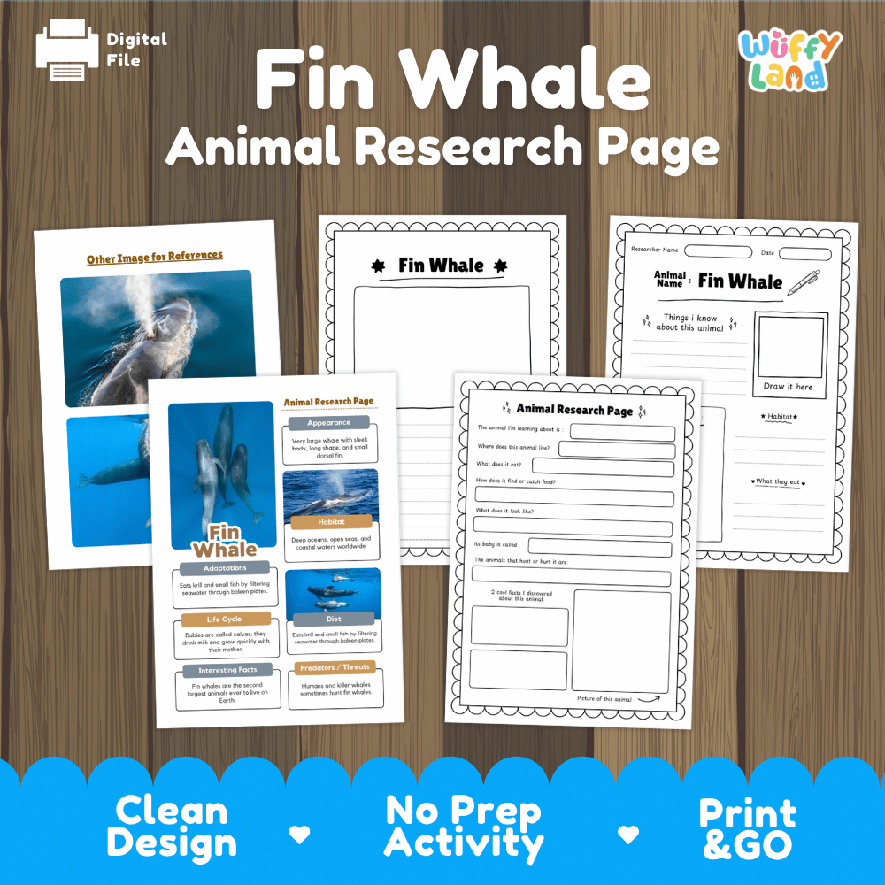 Fin Whale Animal Research Page Worksheets and Fact Sheet