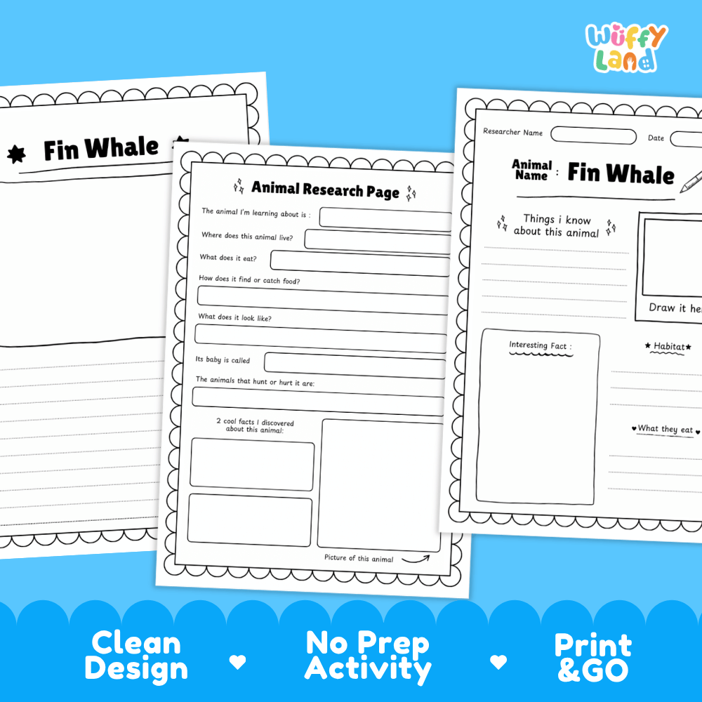 Fin Whale Animal Research Page Worksheets and Fact Sheet