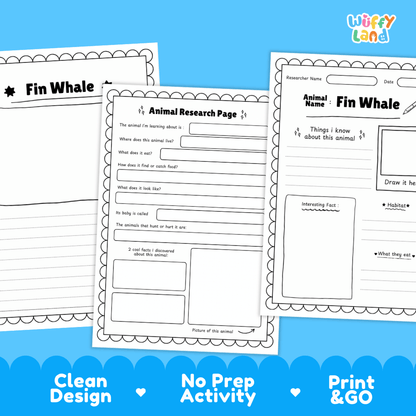 Fin Whale Animal Research Page Worksheets and Fact Sheet