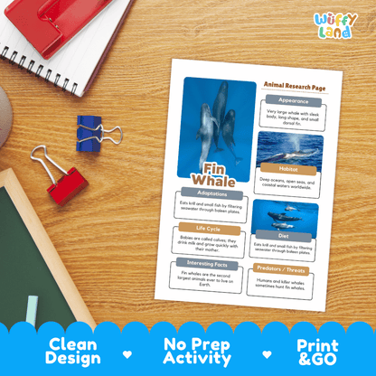 Fin Whale Animal Research Page Worksheets and Fact Sheet