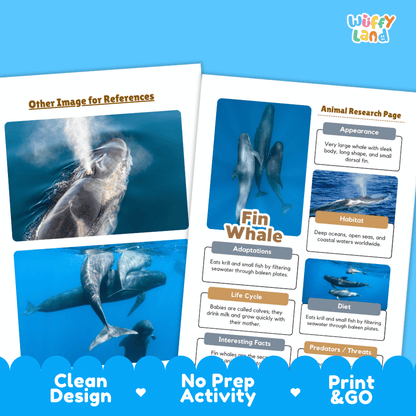 Fin Whale Animal Research Page Worksheets and Fact Sheet