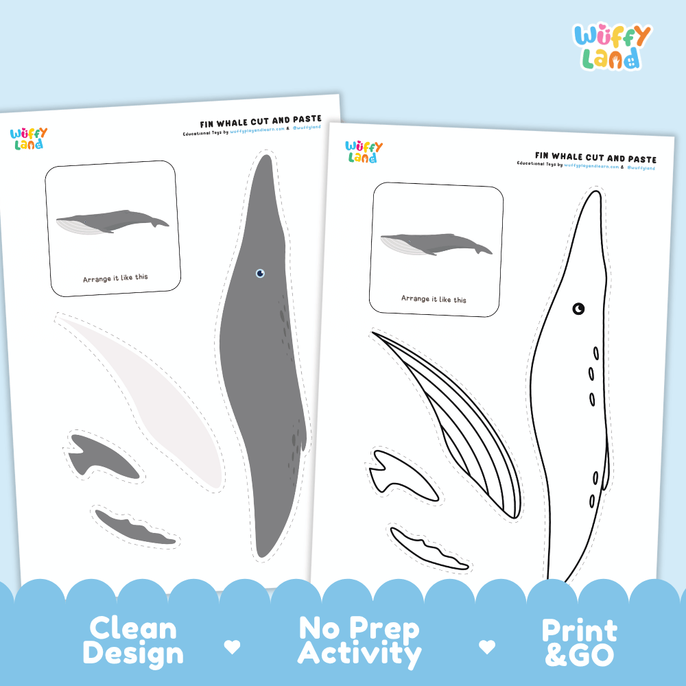 Fin Whale Cut and Paste Craft and Coloring Activity Worksheets