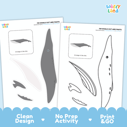 Fin Whale Cut and Paste Craft and Coloring Activity Worksheets