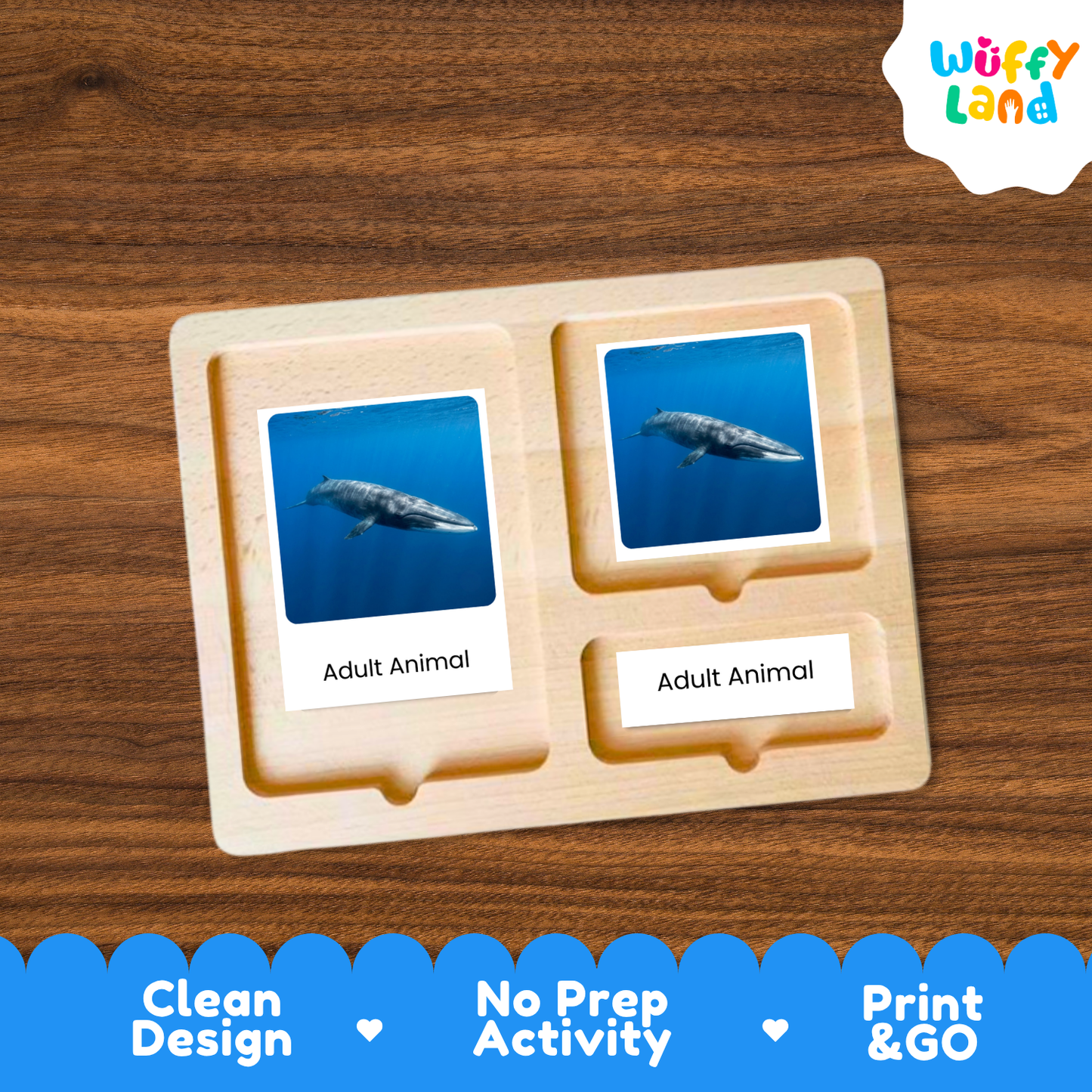 A wooden activity board with two photo slots showing blue whale images and labels reading 'Adult Animal,' placed on a brown wood surface. A 'Wuffy Land' logo appears in the top right, and a blue promotional banner at the bottom highlights 'Clean Design,' 'No Prep Activity,' and 'Print & GO.
