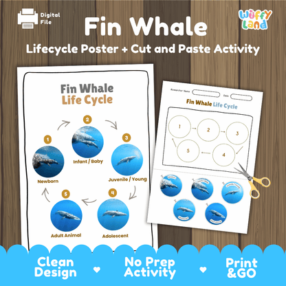 Fin Whale Life Cycle Poster and Cut and Paste Worksheet Activity