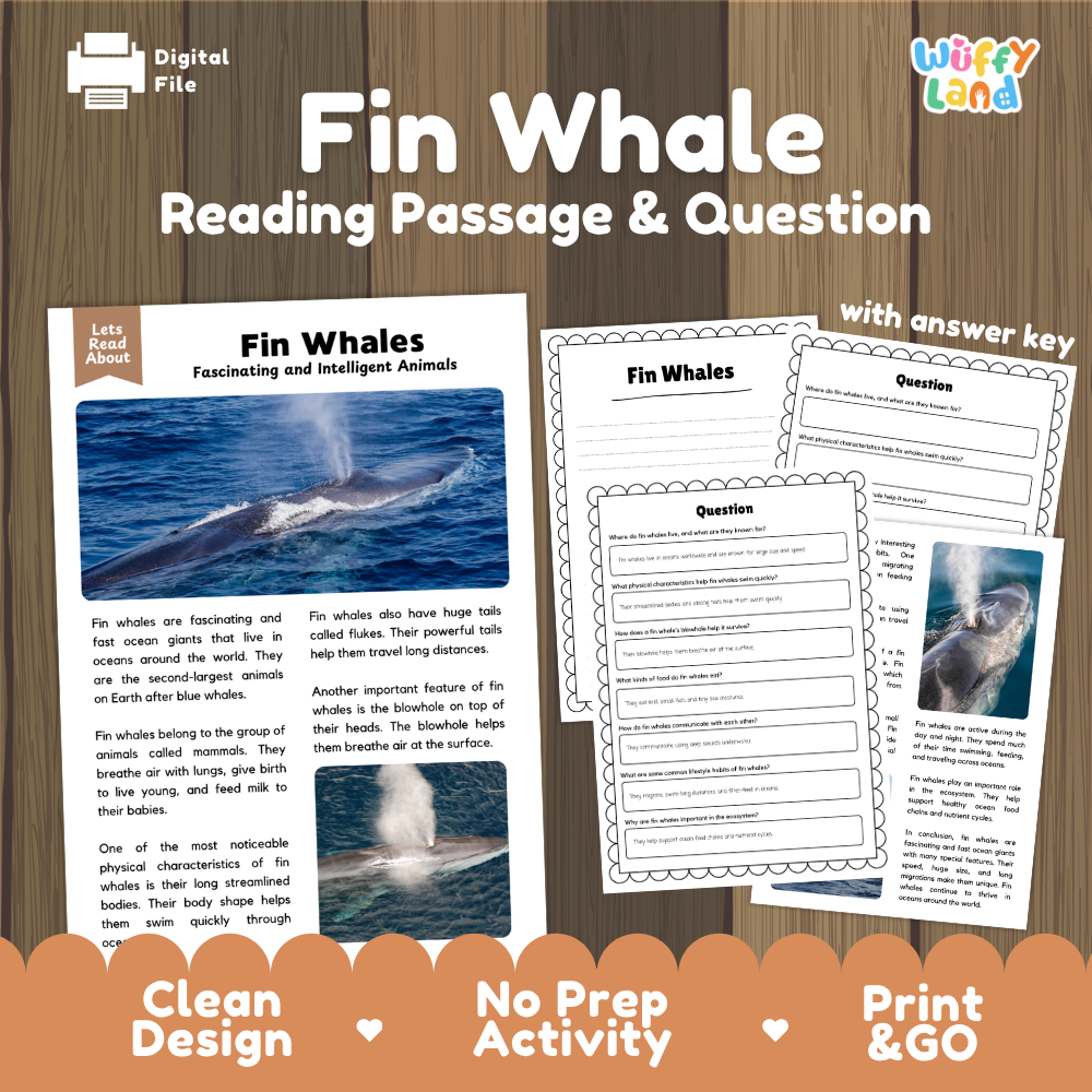 Fin Whale Reading Passage and Comprehension Questions with Answer Key Worksheets