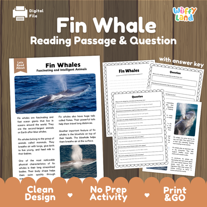 Fin Whale Reading Passage and Comprehension Questions with Answer Key Worksheets