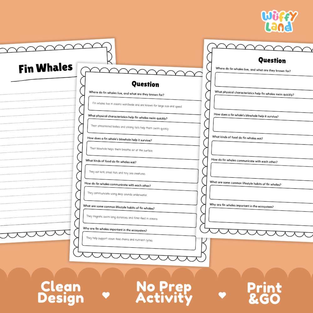 Fin Whale Reading Passage and Comprehension Questions with Answer Key Worksheets