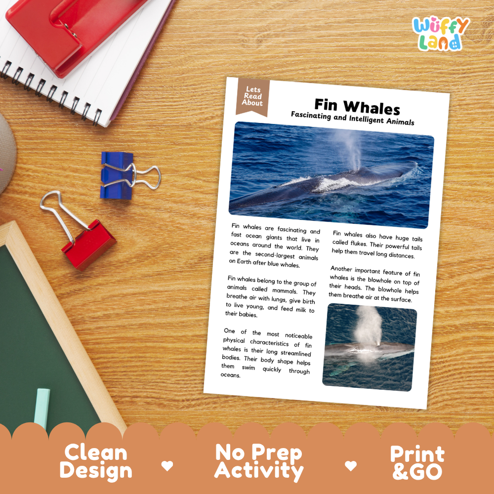An educational activity sheet titled 'Fin Whales Fascinating and Intelligent Animals' laid flat on a wooden desk. The sheet features text and two blue-and-white whale photographs.