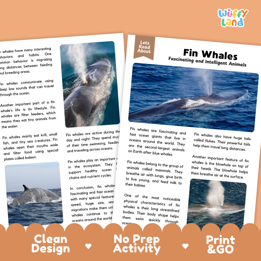 Fin Whale Reading Passage and Comprehension Questions with Answer Key Worksheets