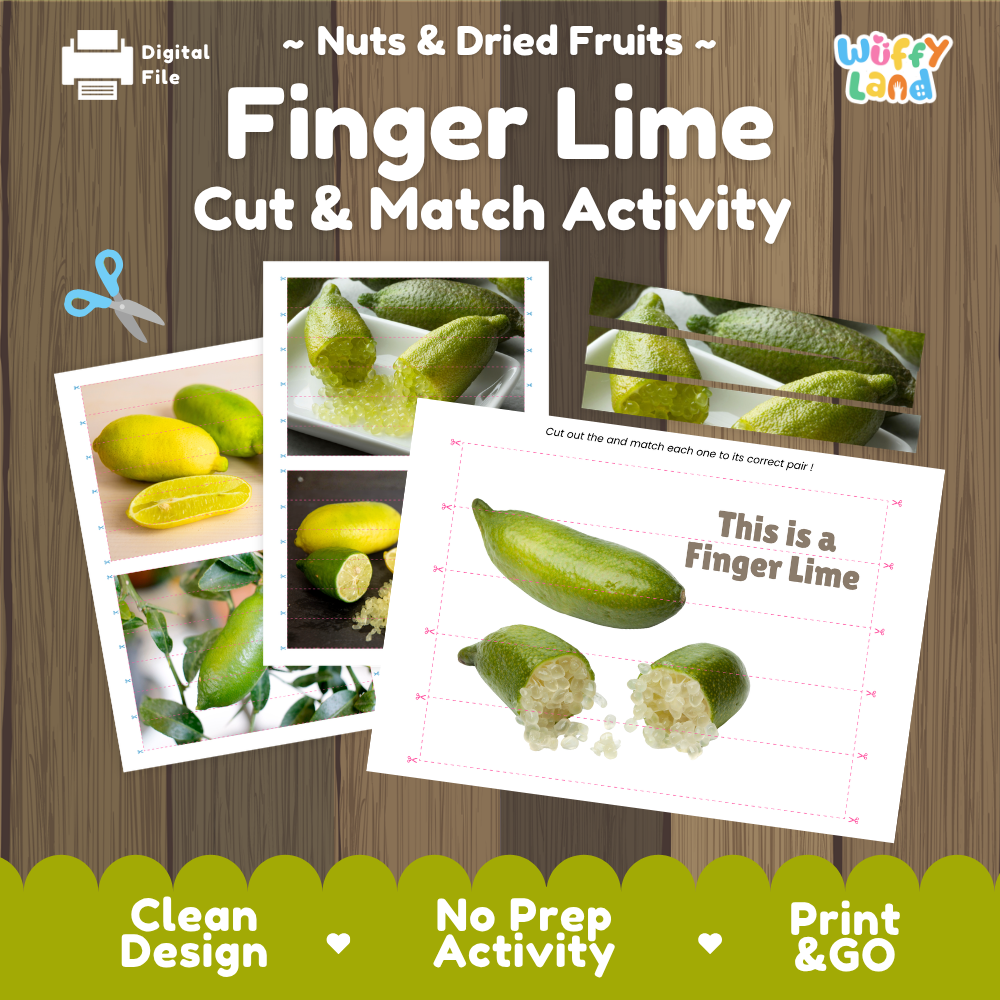 Finger lime cut and match activity cover showing printable fine motor puzzle sheets and citrus photographs
