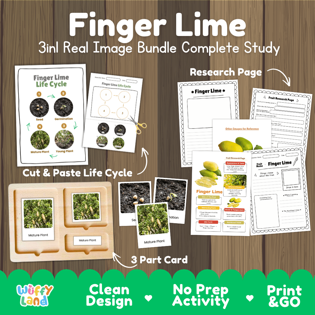 Complete Finger Lime 3-in-1 real image study bundle featuring cut and paste worksheets, Montessori 3-part cards, and research pages 🍈🌱