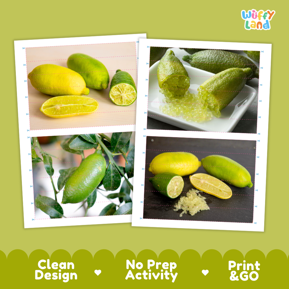 Printable activity sheets featuring photographic finger lime puzzle boards and cutting guides