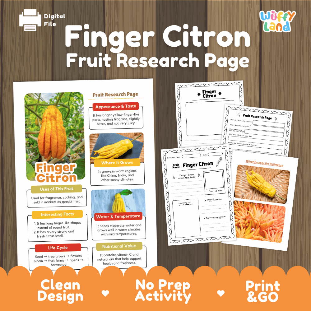 Finger Citron Fruit Research Page Worksheets and Fact Sheet