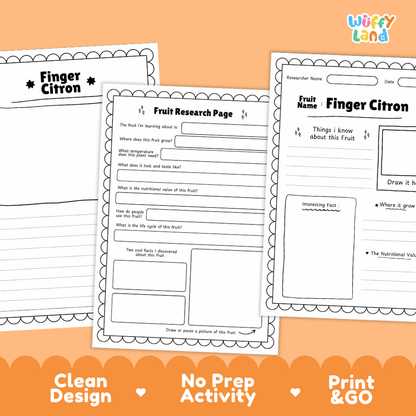 Finger Citron Fruit Research Page Worksheets and Fact Sheet