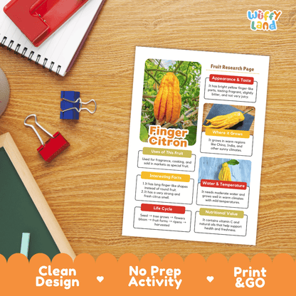 Finger Citron Fruit Research Page Worksheets and Fact Sheet