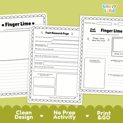 Finger Lime Fruit Research Page Worksheet Activity | Science Healthy Eating