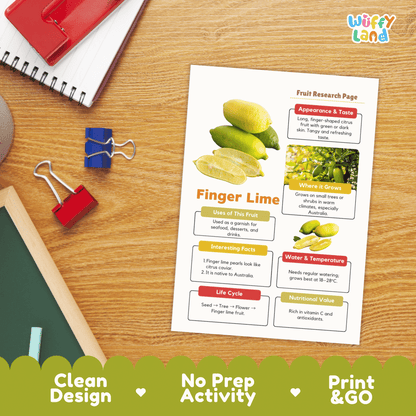 Finger Lime Fruit Research Page Worksheet Activity | Science Healthy Eating