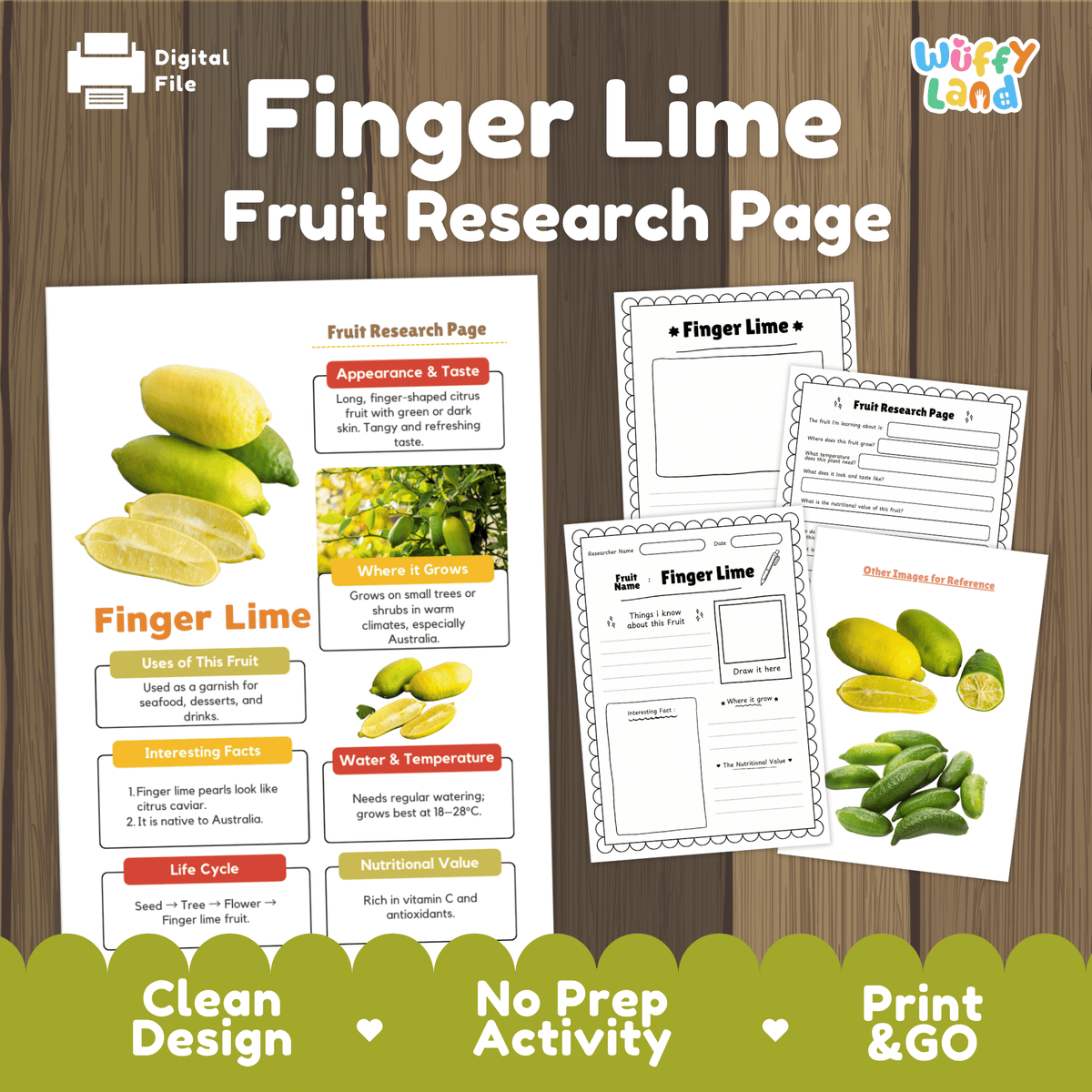 Student fruit research printable fact sheet detailing finger lime appearance, citrus caviar facts, warm Australian climate, and nutrition with real images 📝🔍