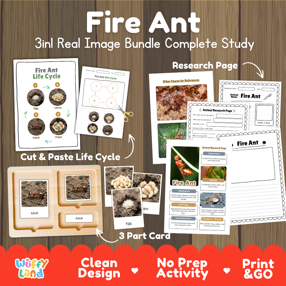 Fire Ant 3-in-1 real image bundle complete study cover showing cut and paste life cycle, 3 part cards, and research pages