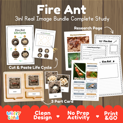 Fire Ant 3-in-1 real image bundle complete study cover showing cut and paste life cycle, 3 part cards, and research pages