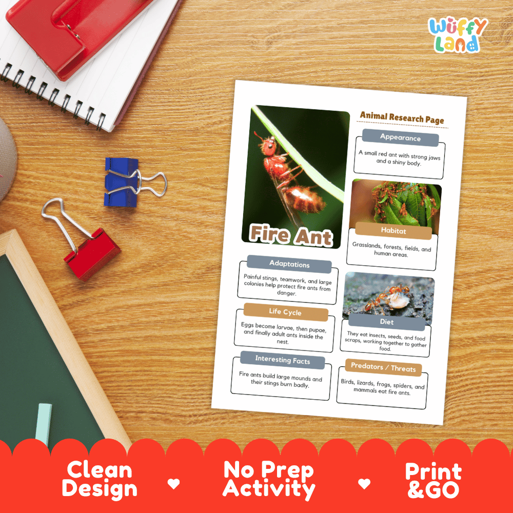 Fire Ant Animal Research Page Worksheets