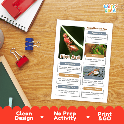Fire Ant Animal Research Page Worksheets