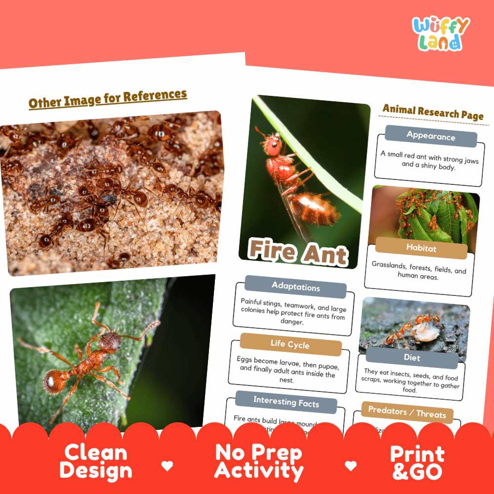 Fire Ant Animal Research Page Worksheets