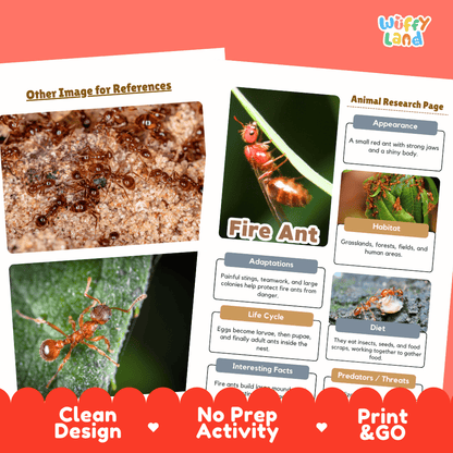 Fire Ant Animal Research Page Worksheets