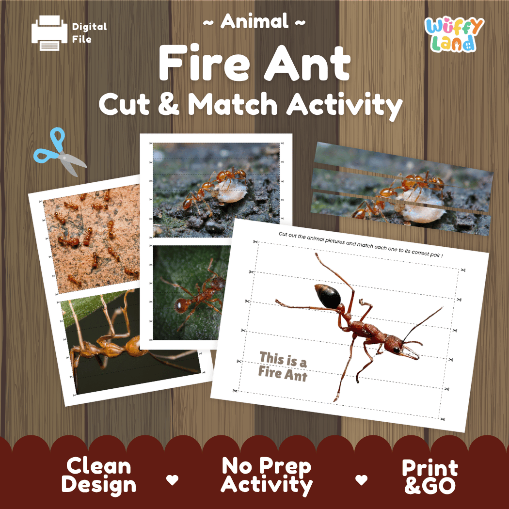 Fire Ant Cut and Match Activity Printables Worksheets