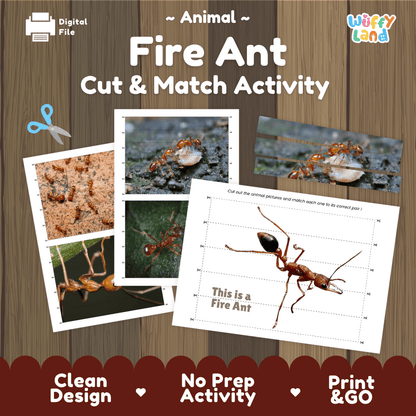 Fire Ant Cut and Match Activity Printables Worksheets