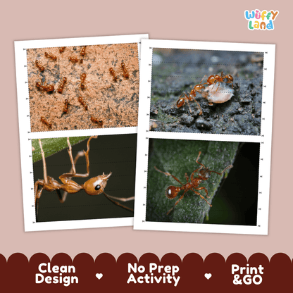 Fire Ant Cut and Match Activity Printables Worksheets