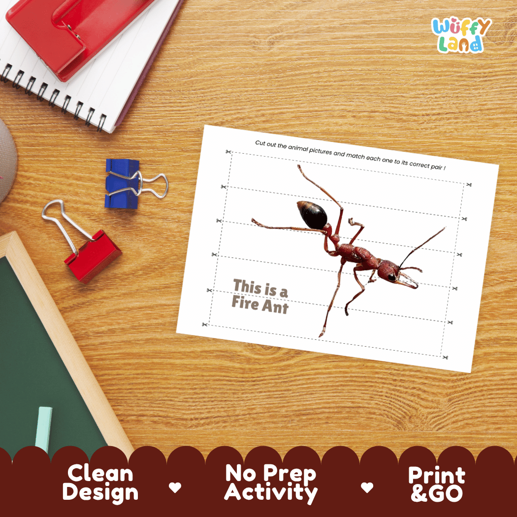 Fire Ant Cut and Match Activity Printables Worksheets