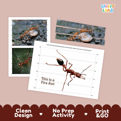 Fire Ant Cut and Match Activity Printables Worksheets