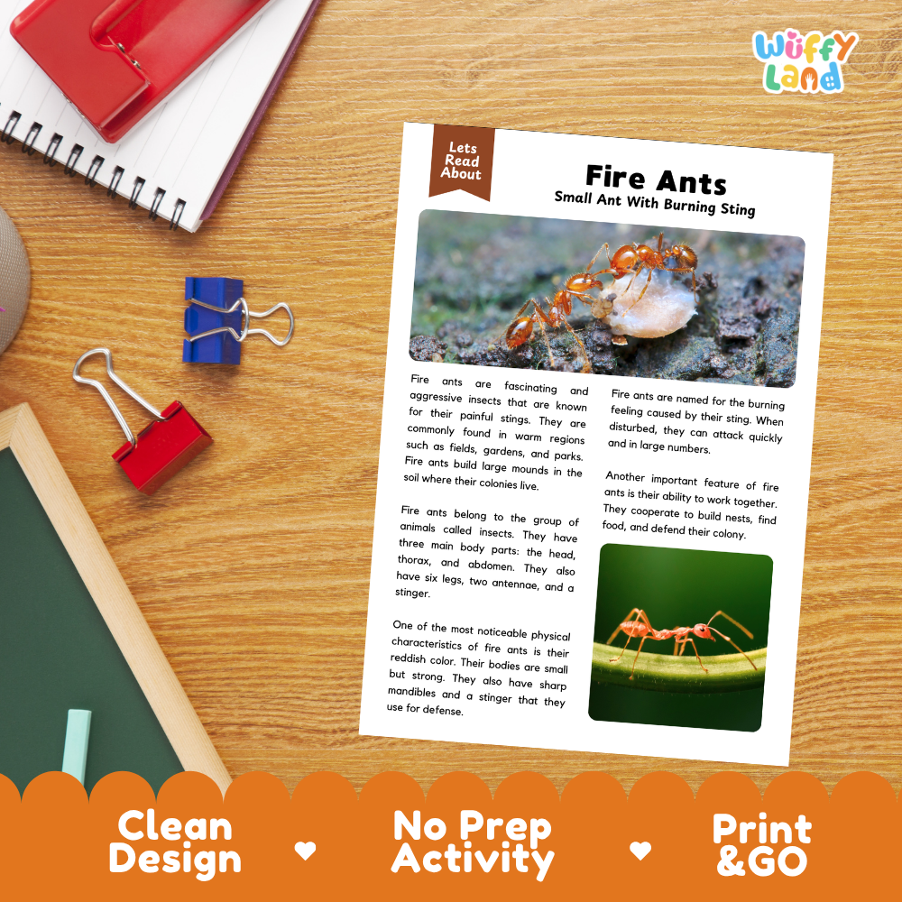 A printed educational worksheet titled 'Fire Ants' laid on a desk, surrounded by a spiral notebook, red and blue binder clips, and a wooden block. The sheet includes text about fire ants and two small ant photos.