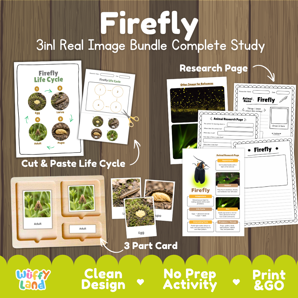 Firefly 3-in-1 real image bundle complete study cover showing cut and paste life cycle, 3 part cards, and research pages