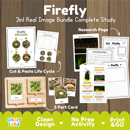 Firefly 3-in-1 real image bundle complete study cover showing cut and paste life cycle, 3 part cards, and research pages